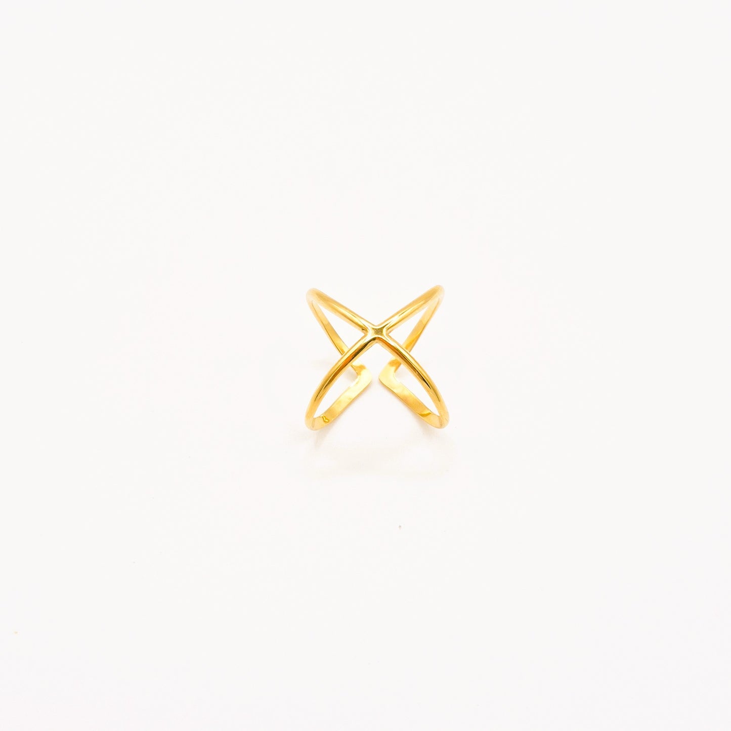 Anillo Doble Línea