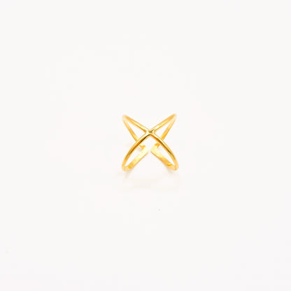 Anillo Doble Línea