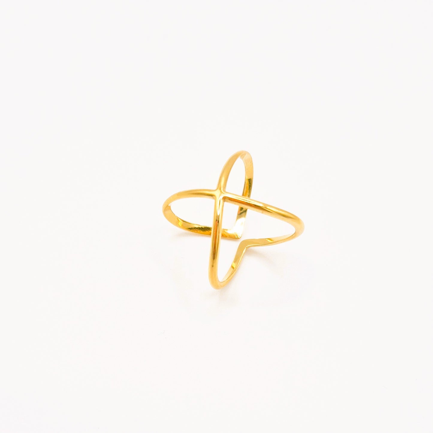 Anillo Doble Línea