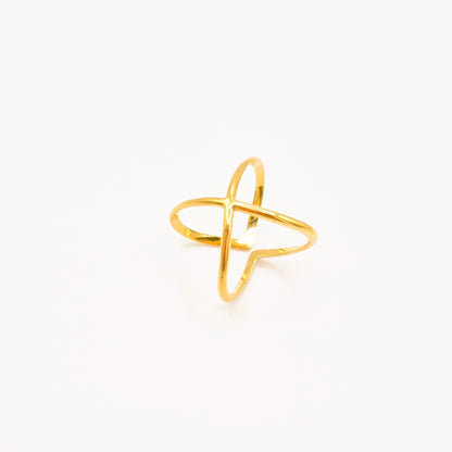 Anillo Doble Línea