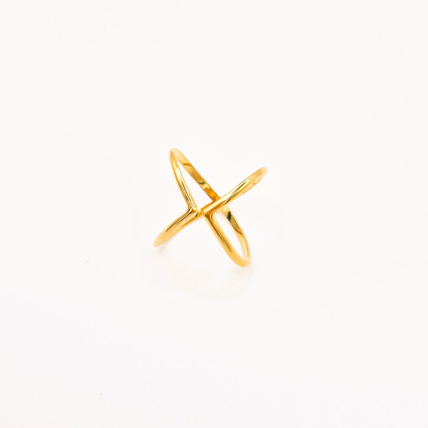 Anillo Doble Línea